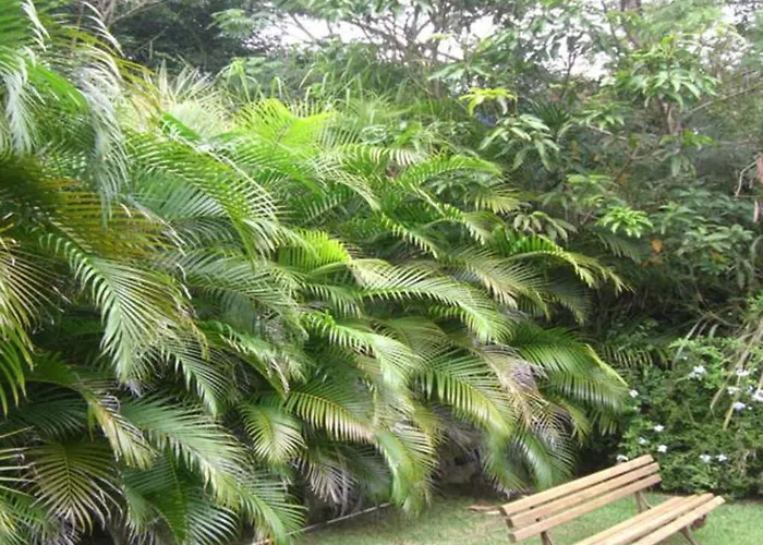 Htl Telhado Verde Búzios